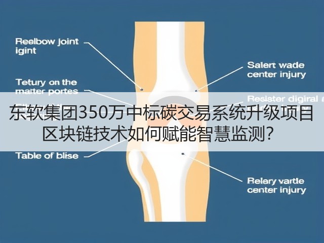 东软集团350万中标碳交易系统升级项目 区块链技术如何赋能智慧监测？(图1)