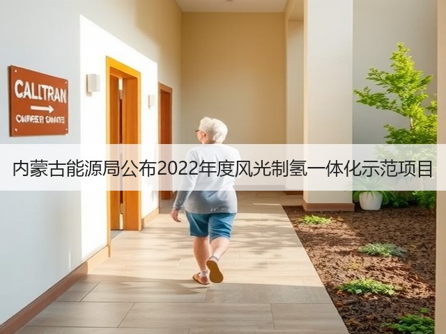内蒙古能源局公布2022年度风光制氢一体化示范项目(图2)