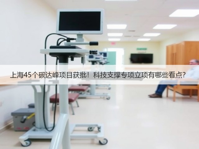 上海45个碳达峰项目获批!科技支撑专项立项有哪些看点?(图3) 上海45个碳达峰项目获批!科技支撑专项立项有哪些看点?(图3)