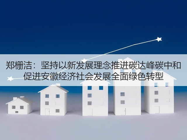 郑栅洁：坚持以新发展理念推进碳达峰碳中和 促进安徽经济社会发展全面绿色转型(图3)