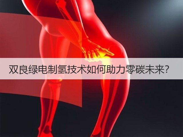 双良绿电制氢技术如何助力零碳未来？(图1)