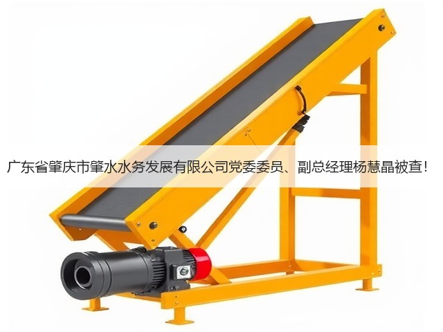 广东省肇庆市肇水水务发展有限公司党委委员、副总经理杨慧晶被查!(图2) 广东省肇庆市肇水水务发展有限公司党委委员、副总经理杨慧晶被查!(图2)