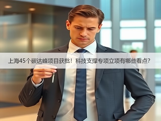 上海45个碳达峰项目获批!科技支撑专项立项有哪些看点?(图1) 上海45个碳达峰项目获批!科技支撑专项立项有哪些看点?(图1)
