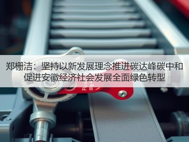 郑栅洁：坚持以新发展理念推进碳达峰碳中和 促进安徽经济社会发展全面绿色转型(图1)