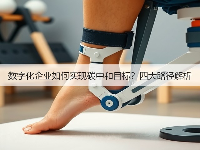 数字化企业如何实现碳中和目标？四大路径解析(图1)