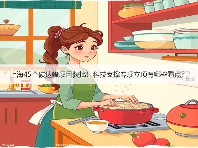 上海45个碳达峰项目获批!科技支撑专项立项有哪些看点?(图2) 上海45个碳达峰项目获批!科技支撑专项立项有哪些看点?(图2)