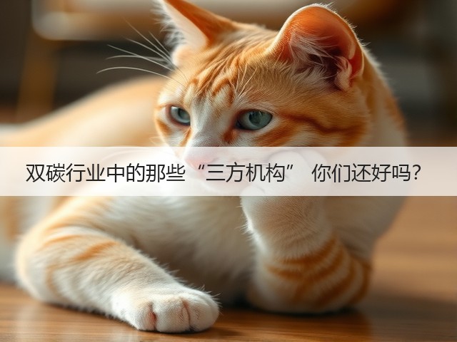 双碳行业中的那些“三方机构” 你们还好吗?(图2) 双碳行业中的那些“三方机构” 你们还好吗?(图2)