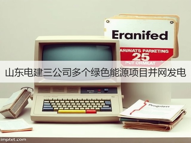 山东电建三公司多个绿色能源项目并网发电(图3)
