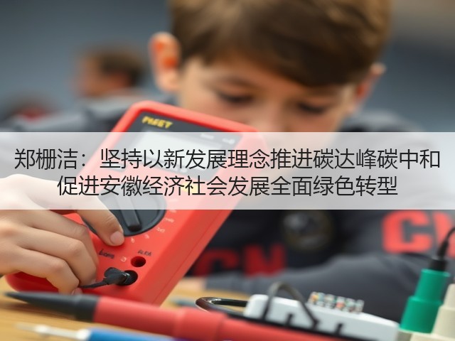 郑栅洁：坚持以新发展理念推进碳达峰碳中和 促进安徽经济社会发展全面绿色转型(图1)