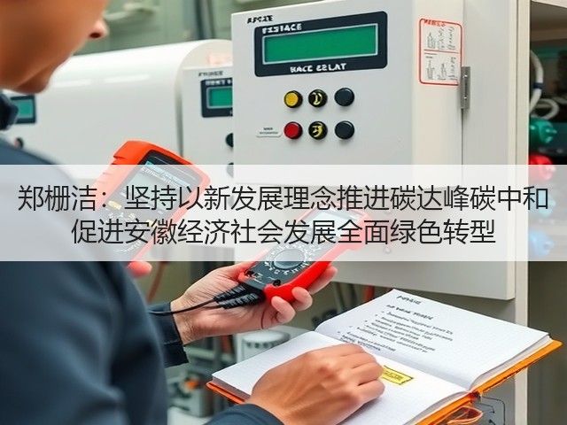 郑栅洁：坚持以新发展理念推进碳达峰碳中和 促进安徽经济社会发展全面绿色转型(图3)