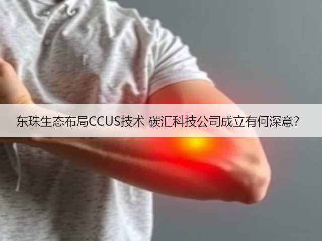东珠生态布局CCUS技术 碳汇科技公司成立有何深意？(图3)