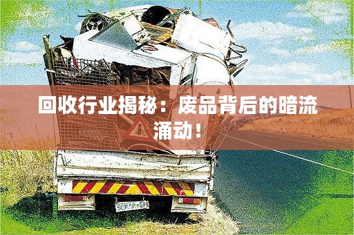 回收行业揭秘：废品背后的暗流涌动！