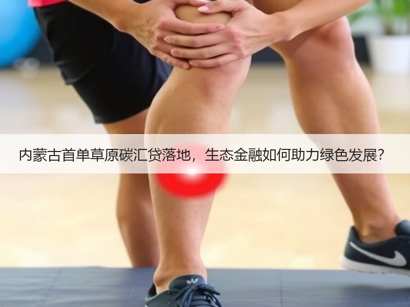 内蒙古首单草原碳汇贷落地,生态金融如何助力绿色发展? 内蒙古首单草原碳汇贷落地,生态金融如何助力绿色发展?