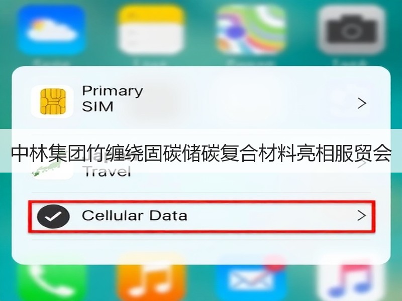 中林集团竹缠绕固碳储碳复合材料亮相服贸会