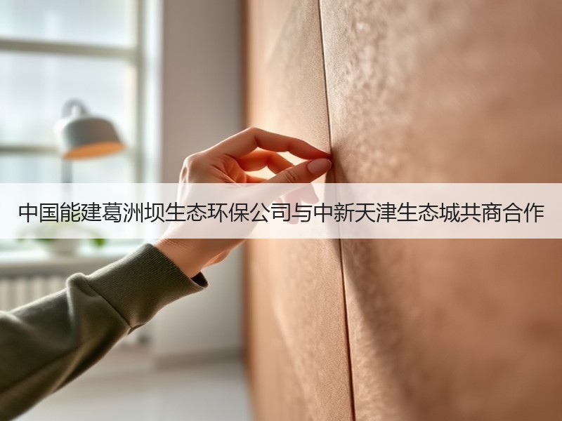 中国能建葛洲坝生态环保公司与中新天津生态城共商合作