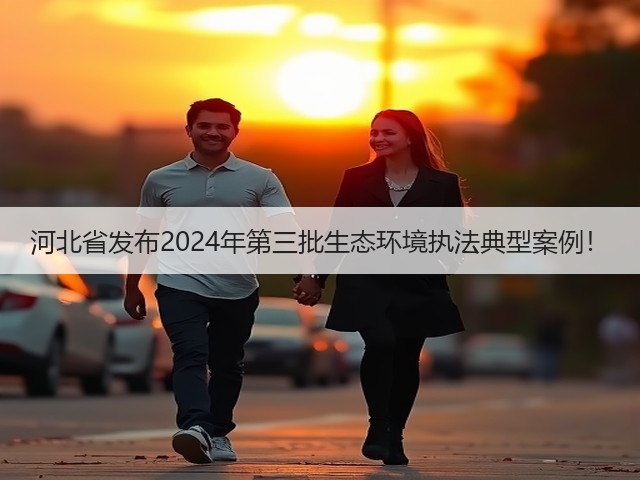 河北省发布2024年第三批生态环境执法典型案例!(图3) 河北省发布2024年第三批生态环境执法典型案例!(图3)