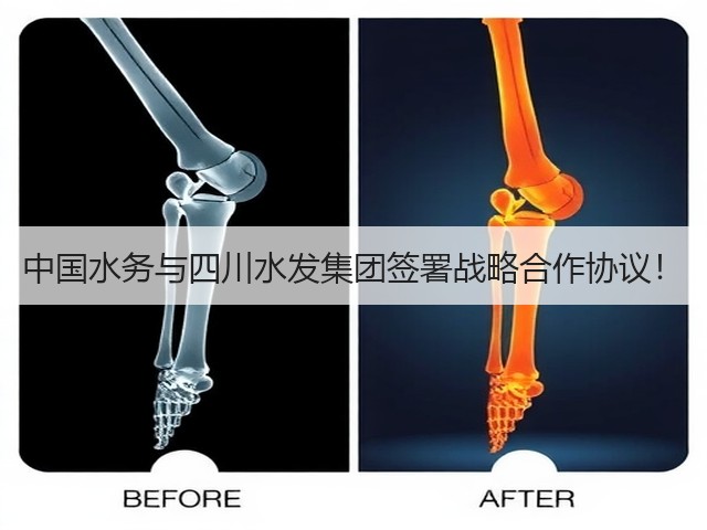 中国水务与四川水发集团签署战略合作协议！(图2)