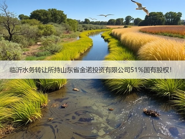 临沂水务转让所持山东省金诺投资有限公司51%国有股权!(图1) 临沂水务转让所持山东省金诺投资有限公司51%国有股权!(图1)