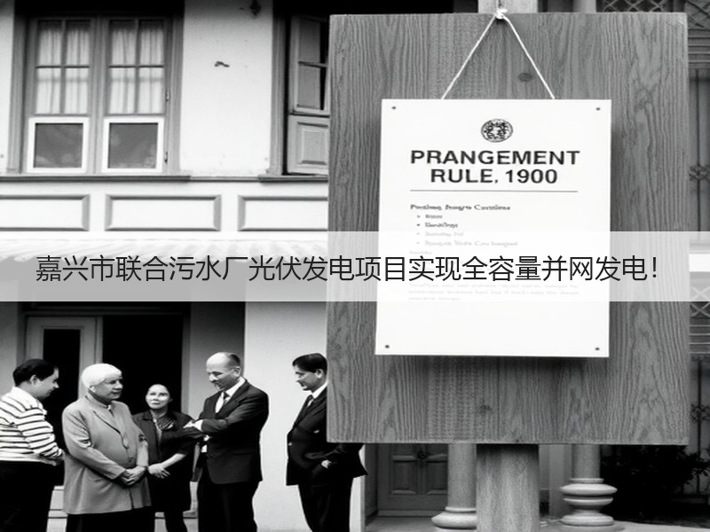 嘉兴市联合污水厂光伏发电项目实现全容量并网发电！