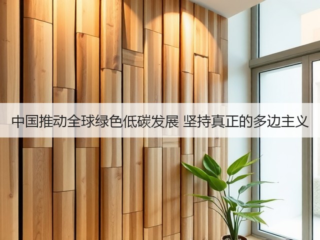 中国推动全球绿色低碳发展 坚持真正的多边主义(图1)