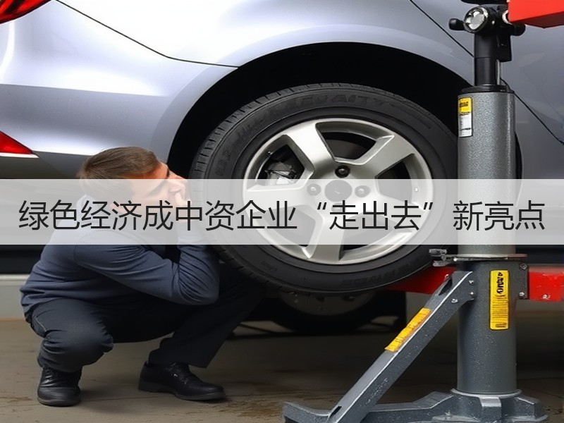 绿色经济成中资企业“走出去”新亮点