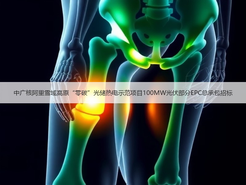 中广核阿里雪域高原“零碳”光储热电示范项目100MW光伏部分EPC总承包招标