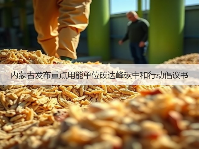内蒙古发布重点用能单位碳达峰碳中和行动倡议书(图1) 内蒙古发布重点用能单位碳达峰碳中和行动倡议书(图1)