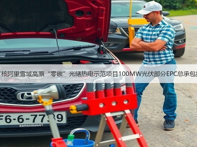 中广核阿里雪域高原“零碳”光储热电示范项目100MW光伏部分EPC总承包招标(图1)
