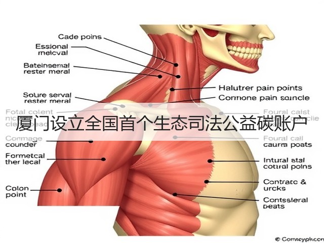 厦门设立全国首个生态司法公益碳账户(图2) 厦门设立全国首个生态司法公益碳账户(图2)