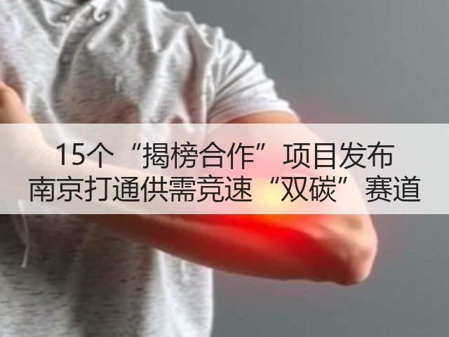 15个“揭榜合作”项目发布 南京打通供需竞速“双碳”赛道(图3)