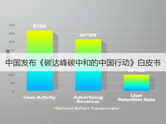 中国发布《碳达峰碳中和的中国行动》白皮书(图3)