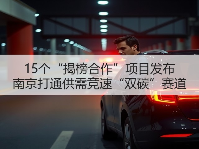 15个“揭榜合作”项目发布 南京打通供需竞速“双碳”赛道(图2) 15个“揭榜合作”项目发布 南京打通供需竞速“双碳”赛道(图2)