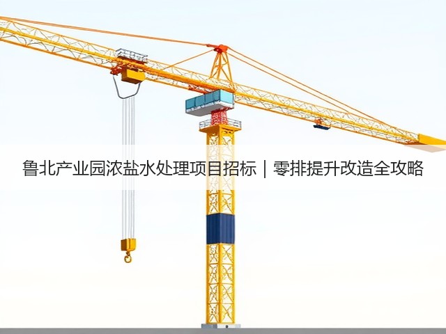鲁北产业园浓盐水处理项目招标|零排提升改造全攻略(图3) 鲁北产业园浓盐水处理项目招标|零排提升改造全攻略(图3)