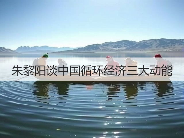 朱黎阳谈中国循环经济三大动能(图2) 朱黎阳谈中国循环经济三大动能(图2)