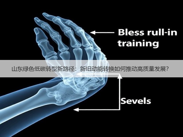 山东绿色低碳转型新路径:新旧动能转换如何推动高质量发展?(图2) 山东绿色低碳转型新路径:新旧动能转换如何推动高质量发展?(图2)