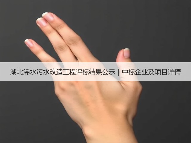 湖北浠水污水改造工程评标结果公示|中标企业及项目详情(图1) 湖北浠水污水改造工程评标结果公示|中标企业及项目详情(图1)