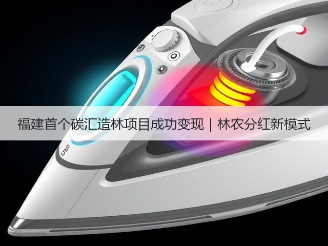 福建首个碳汇造林项目成功变现|林农分红新模式(图3) 福建首个碳汇造林项目成功变现|林农分红新模式(图3)