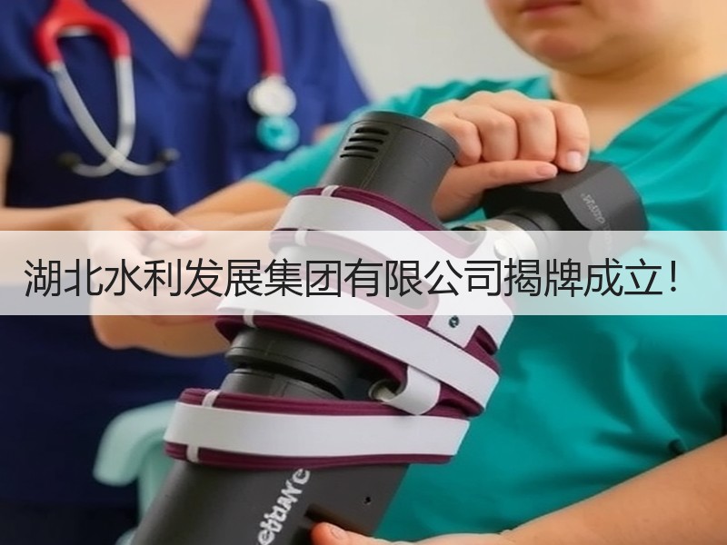 湖北水利发展集团有限公司揭牌成立！