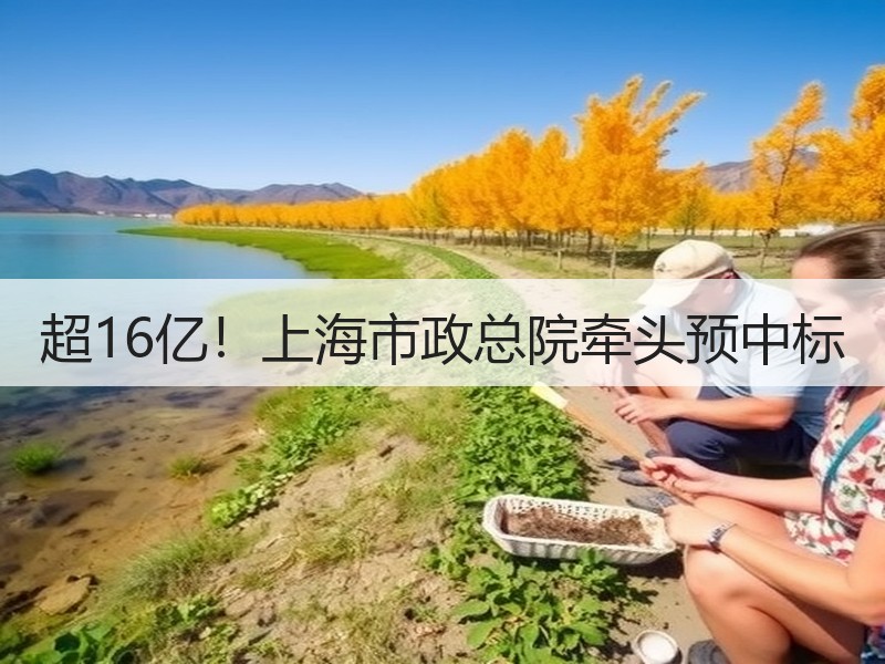 超16亿！上海市政总院牵头预中标