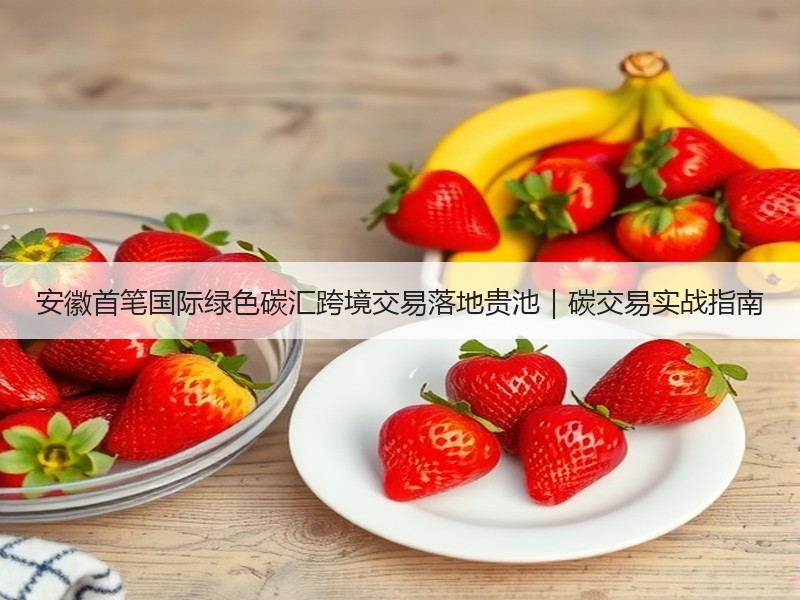 安徽首笔国际绿色碳汇跨境交易落地贵池｜碳交易实战指南