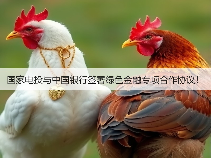 国家电投与中国银行签署绿色金融专项合作协议！