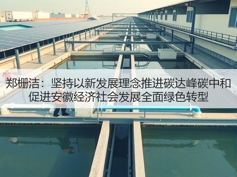 郑栅洁：坚持以新发展理念推进碳达峰碳中和 促进安徽经济社会发展全面绿色转型