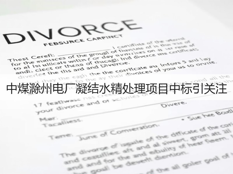 中煤滁州电厂凝结水精处理项目中标引关注 中煤滁州电厂凝结水精处理项目中标引关注
