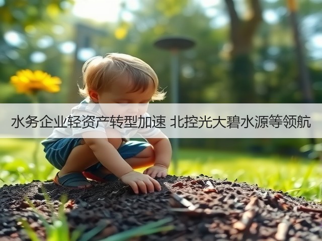 水务企业轻资产转型加速 北控光大碧水源等领航(图1) 水务企业轻资产转型加速 北控光大碧水源等领航(图1)