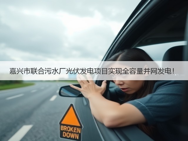 嘉兴市联合污水厂光伏发电项目实现全容量并网发电!(图3) 嘉兴市联合污水厂光伏发电项目实现全容量并网发电!(图3)
