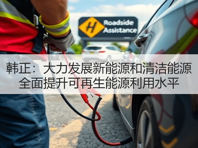 韩正：大力发展新能源和清洁能源 全面提升可再生能源利用水平(图2)