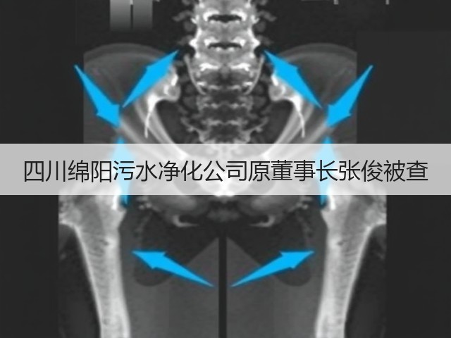 四川绵阳污水净化公司原董事长张俊被查(图2)