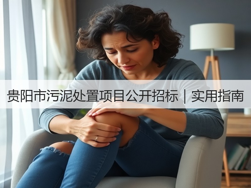 贵阳市污泥处置项目公开招标｜实用指南
