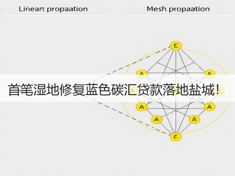 首笔湿地修复蓝色碳汇贷款落地盐城！