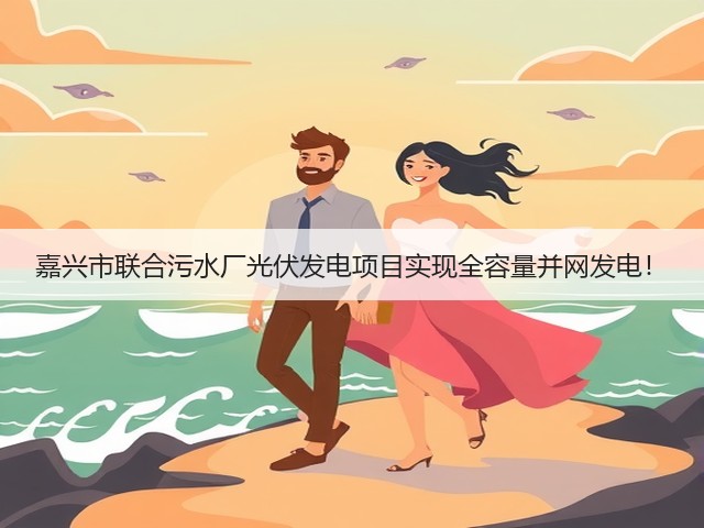 嘉兴市联合污水厂光伏发电项目实现全容量并网发电！(图2)